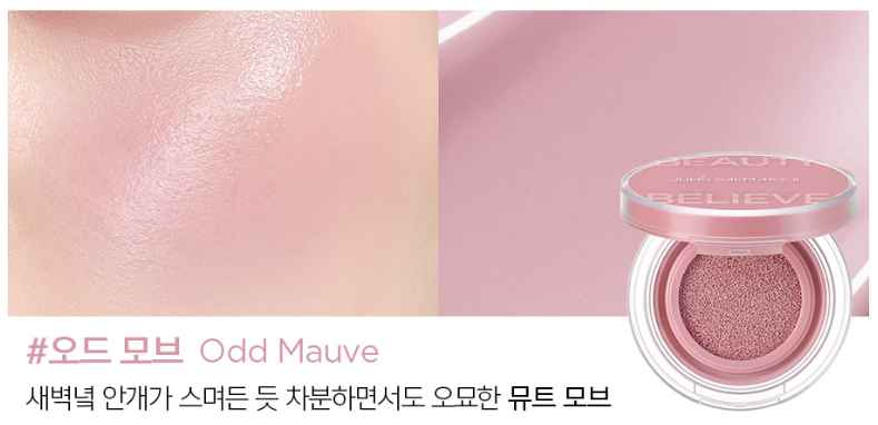 JUNGSAEMMOOL Artist Cushion Blush 4g (10color)